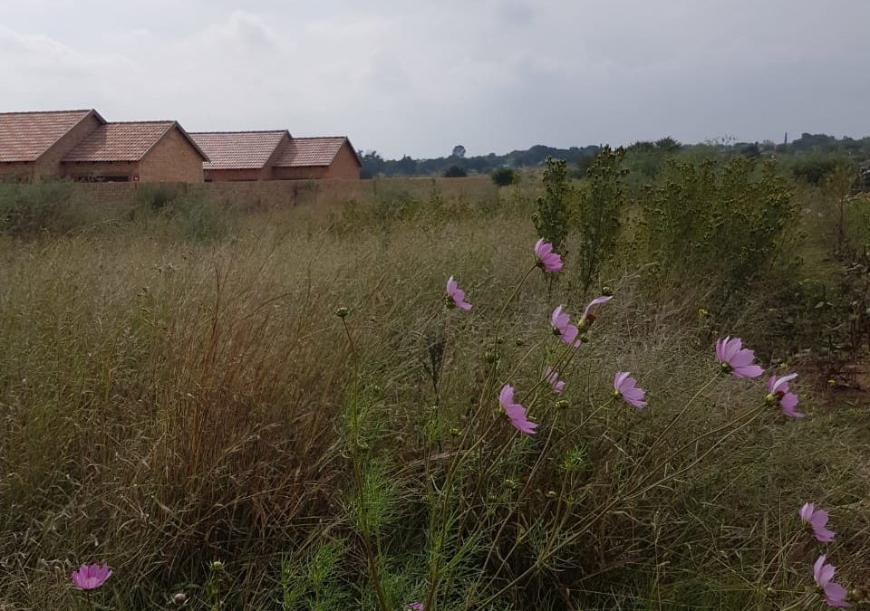VACANT STAND! IDEAL FOR DEVELOPMENT!