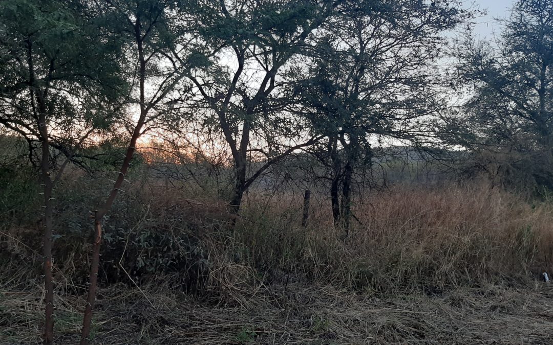 STAND FOR SALE IN HARTBEESFONTEIN.