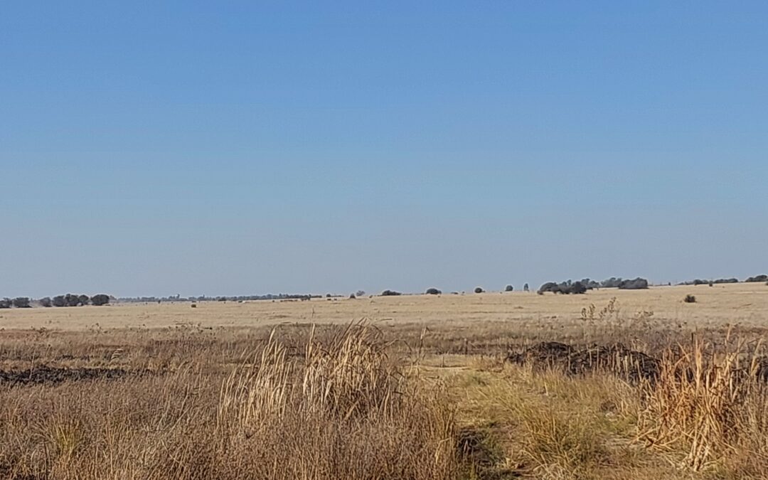 INDUSTRIAL LAND FOR SALE. 1 x 4.6 Ha STAND ON N12.