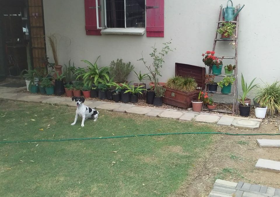 TINY HOUSE FOR SALE. IDEAL FOR FIRST TIME BUYERS. SUITABLE FOR 2 PERSONS.