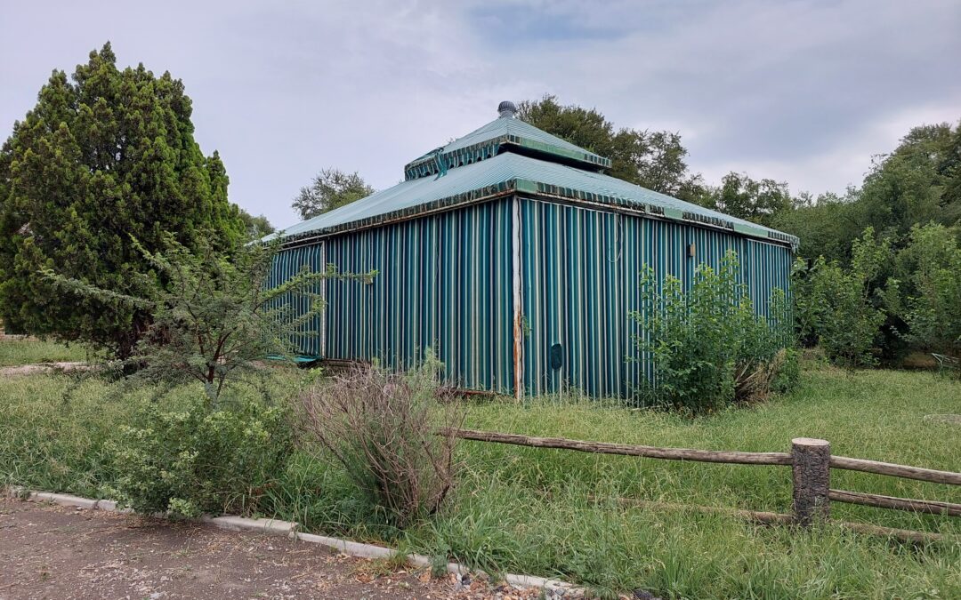 STAND WITH RIVER ACCESS FOR SALE.