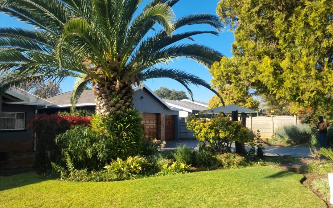 WHAT A BARGAIN. NEWLY PAINTED 4 BEDROOM HOUSE WITH MANY EXTRAS.
